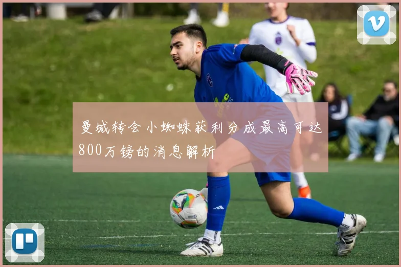 曼城转会小蜘蛛获利分成最高可达800万镑的消息解析